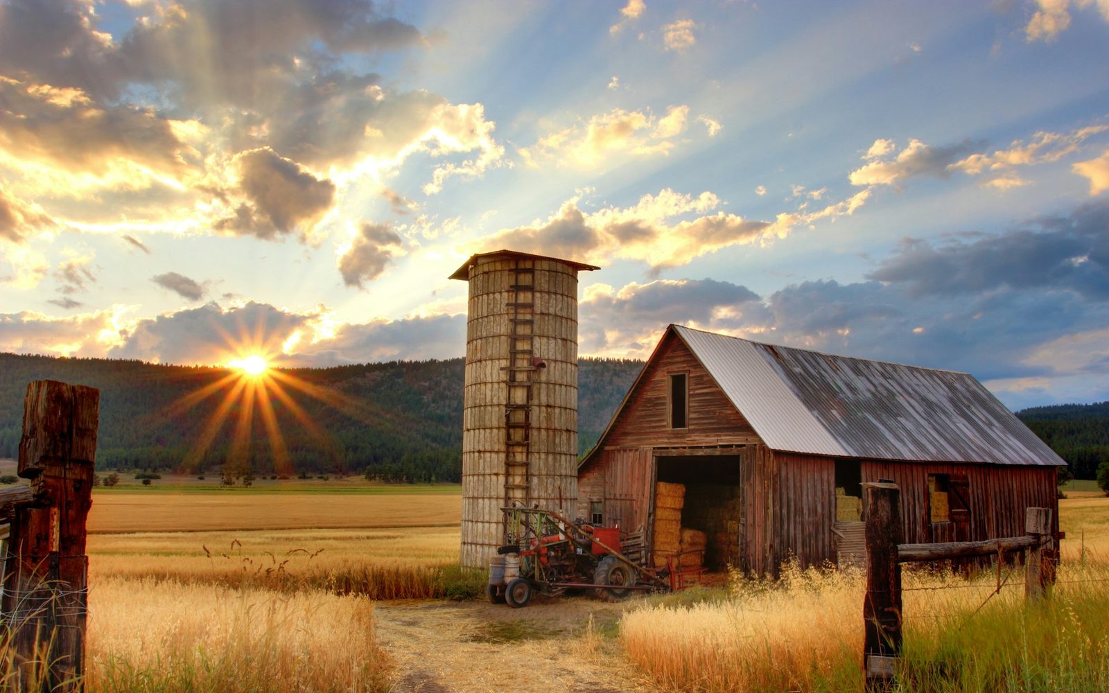 Campo y horizonte rural